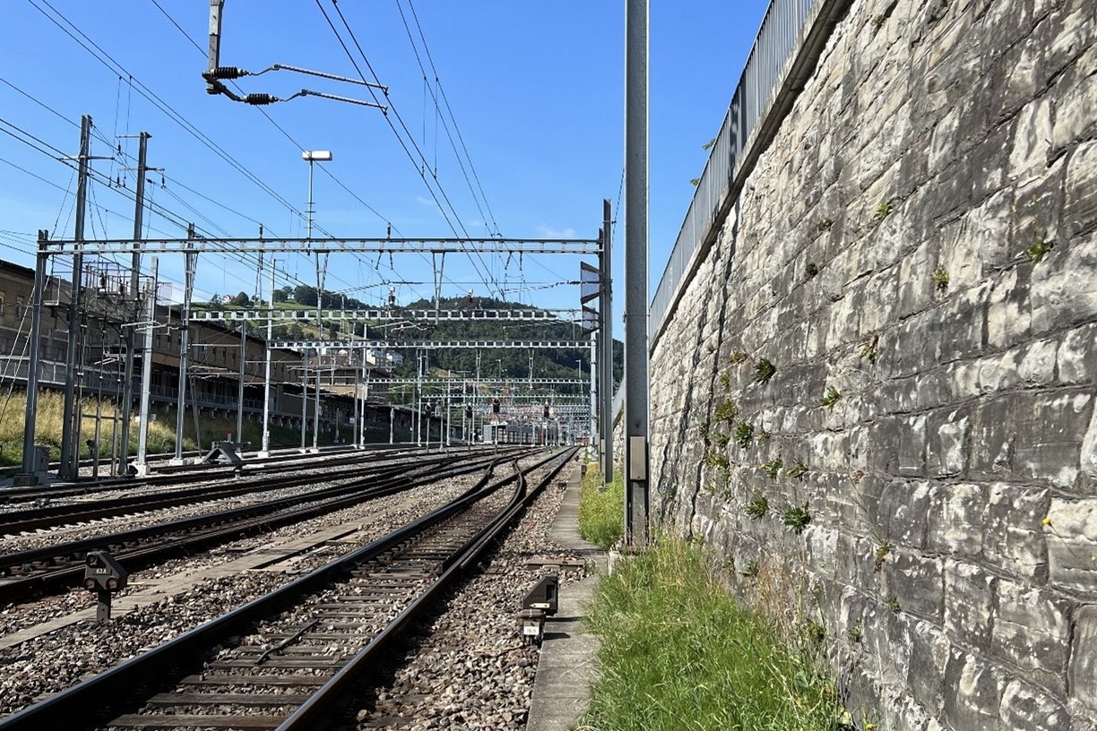 St. Gallen, Burgstrasse, Sanierung Stützmauer der Linie 850